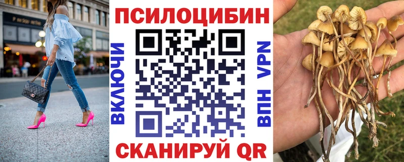 Галлюциногенные грибы мухоморы  купить наркотик  Володарск 